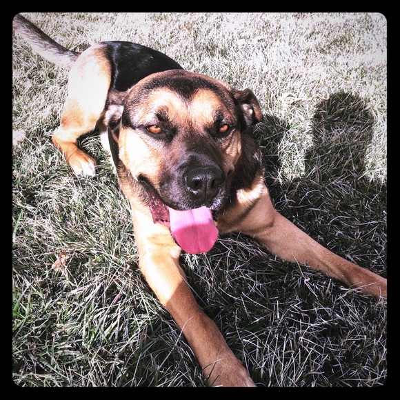 Meet Haley - Picture 1 of 2